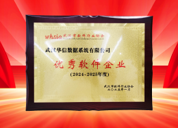 喜讯丨凯发K8国际数据获评2024~2025年度武汉市软件行业&ldquo;优秀企业&rdquo;、&ldquo;优秀工作者&rdquo;荣誉称号！